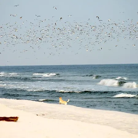 White Pearl 3.01 Apartment *