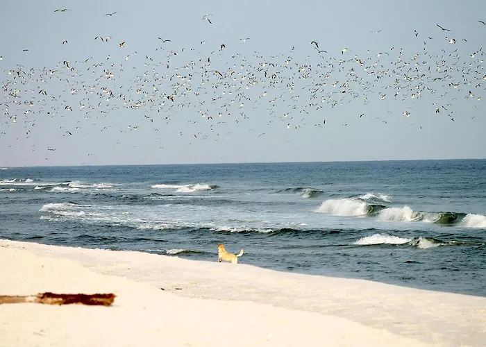 White Pearl 3.01 Lägenhet *